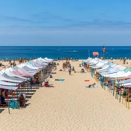 Carepa -nazare, Steps From The 게스트하우스 3*